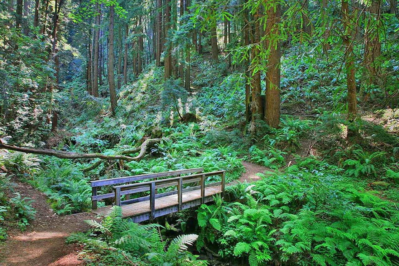 Beach Villa Home - Walk To Beaches Trails Restaurants Activities & More Half Moon Bay Exterior foto